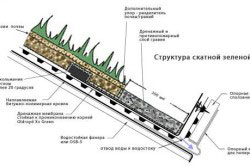 структура скатной зеленой кровли структура скатной зеленой кровли
